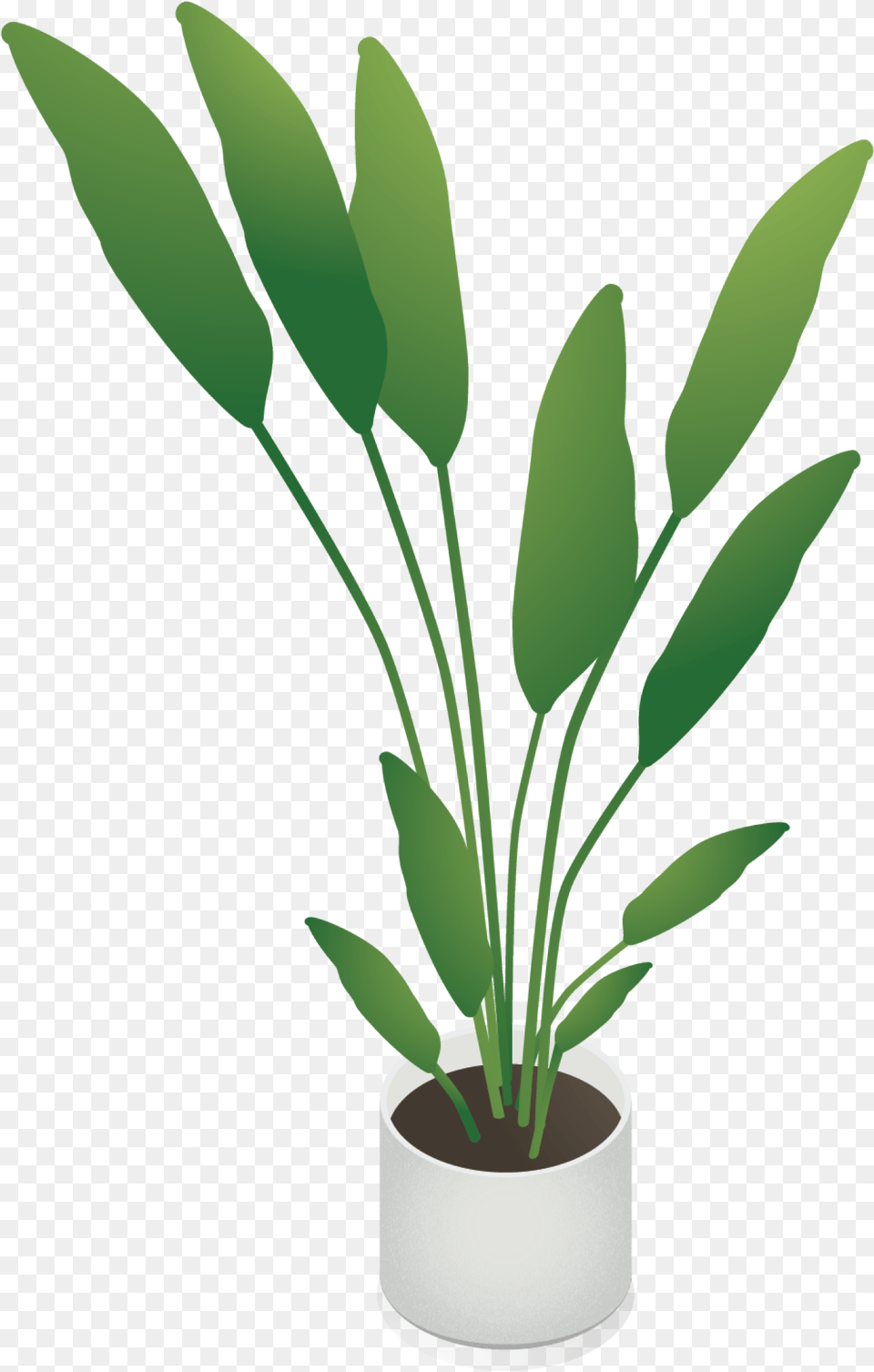 Isometric Plant, Leaf, Potted Plant, Flower, Flower Arrangement Free Transparent Png
