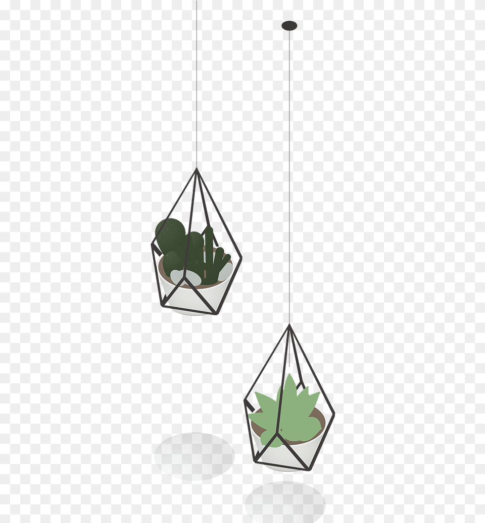 Isometric Plants, Toy, Plant, Potted Plant Png Image