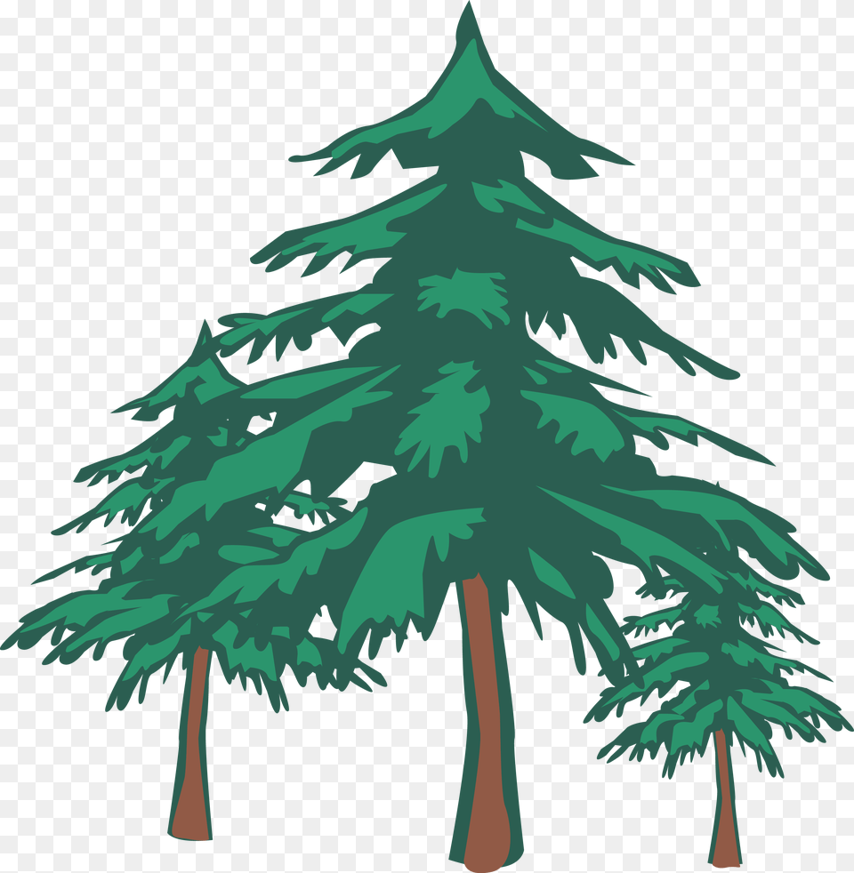 Issue How Many Trees Are There On Earth Oct, Fir, Pine, Plant, Tree Png Image