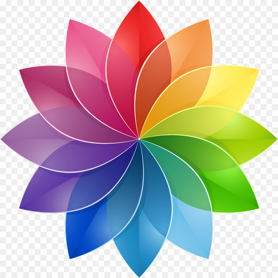 It Doesn39t Matter Whether The Colors Are Side By Side Color Flower Design, Art, Dahlia, Floral Design, Graphics Png