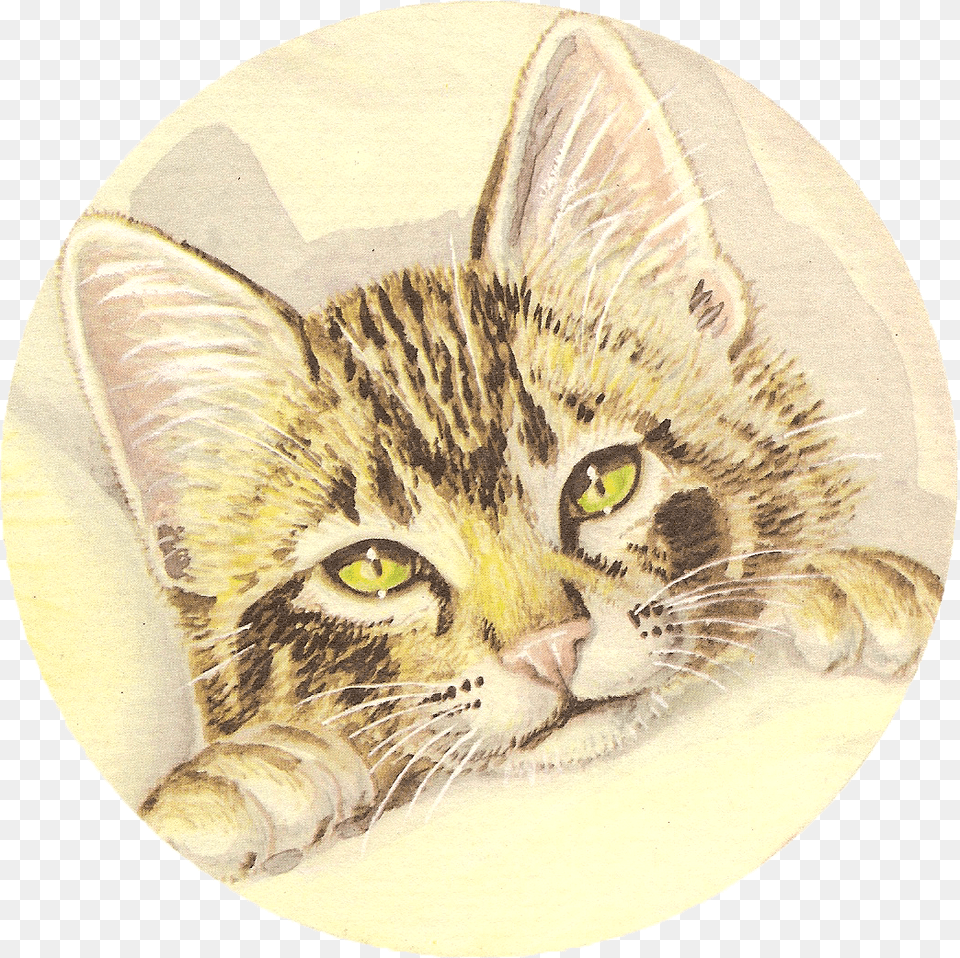 It Is A Children39s Book With Some Seriously Cute Pictures Illustration, Art, Animal, Cat, Mammal Free Png