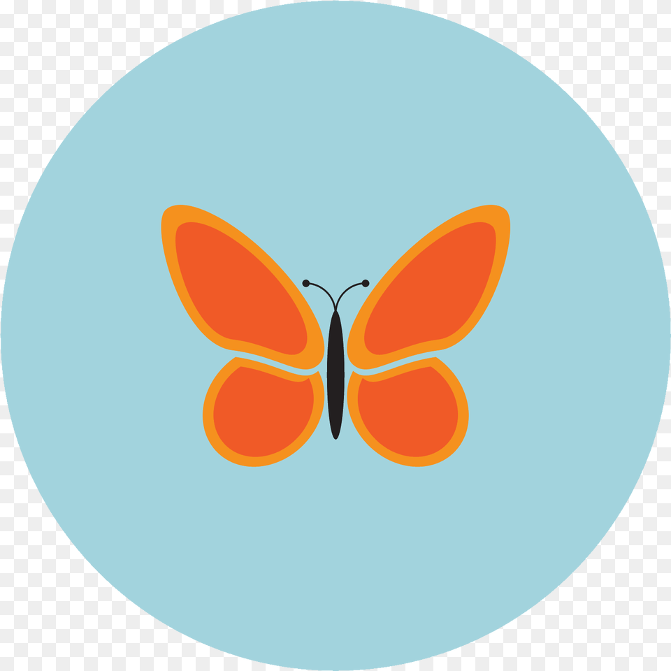 It Is An Insect Called A Butterfly Rocket Explorer, Animal, Invertebrate, Astronomy, Moon Free Transparent Png