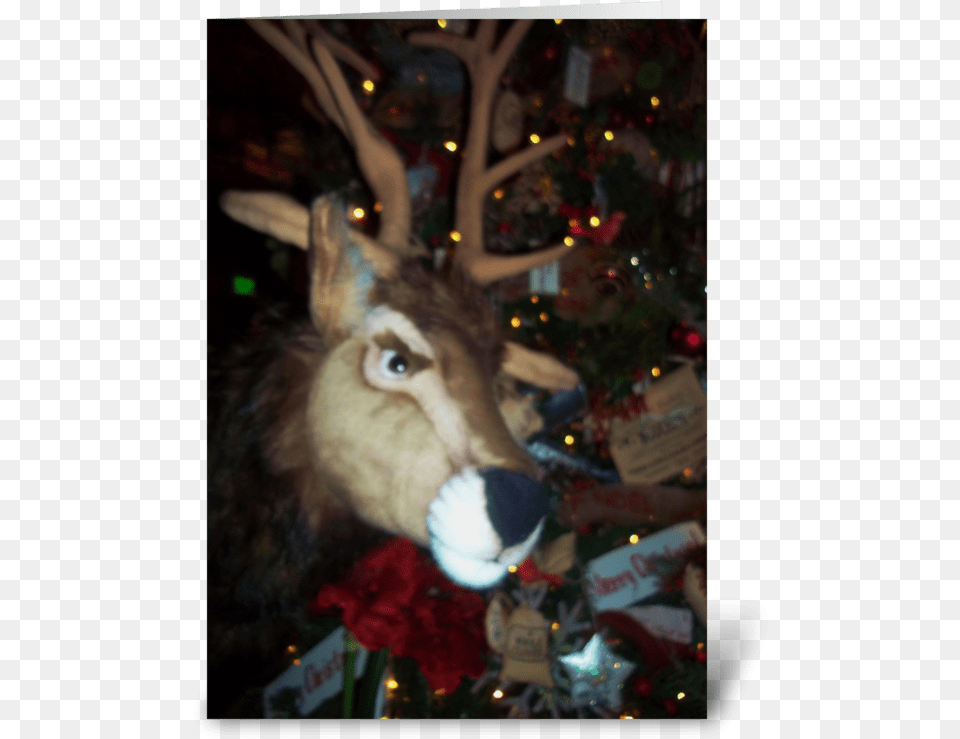 It Is Christmas Deer Greeting Card Reindeer, Animal, Mammal, Wildlife, Antler Free Transparent Png