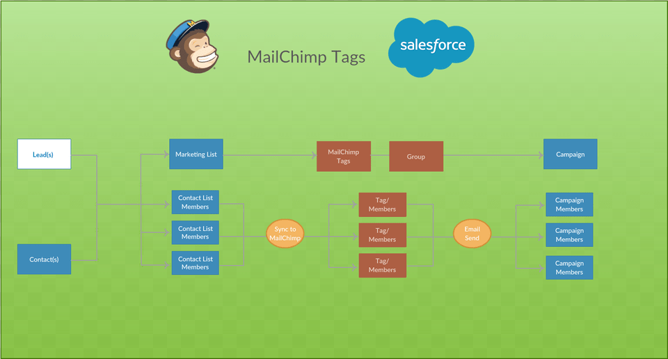 It Is Easy To Now Automatically Create Tag Based On Mailchimp, Face, Head, Person Free Png