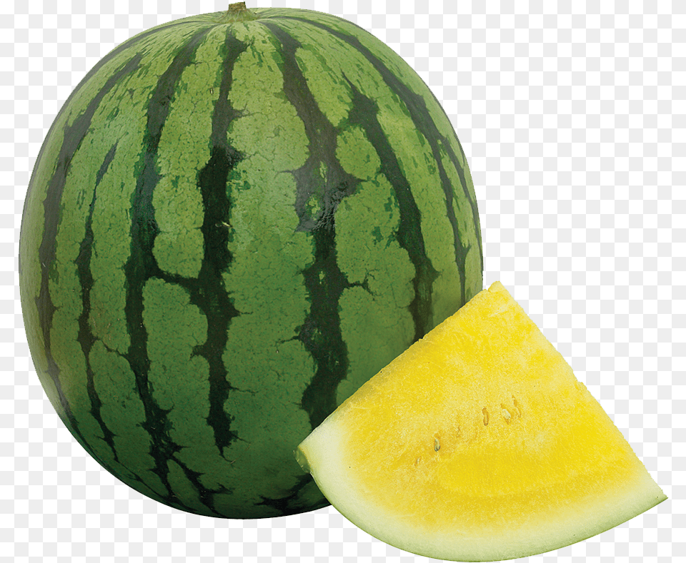 It Is Hollow In Cross Section With A Relatively Thin Watermelon, Food, Fruit, Plant, Produce Free Transparent Png