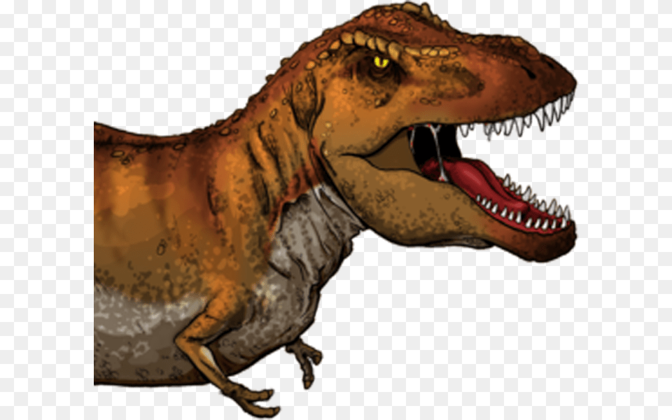 It Is Sized To Fit The Dinosaur Is Sized To Fit The Tyrannosaurus Rex En Ingles, Animal, Reptile, T-rex Free Transparent Png