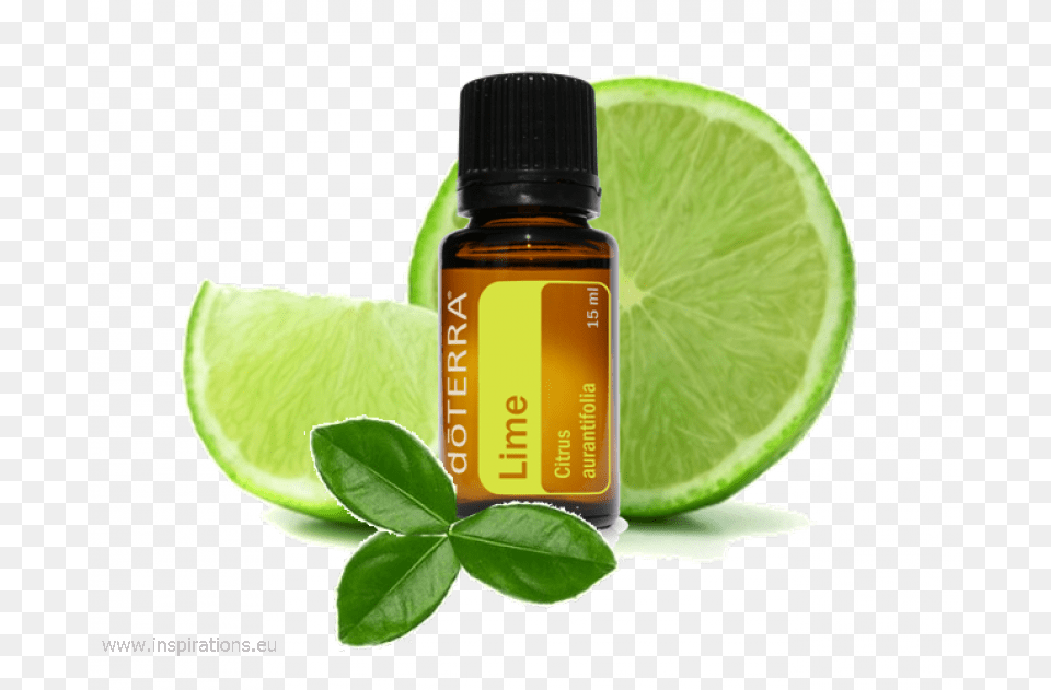 It Looks Like There Is No Email Address Associated Lime Doterra, Produce, Citrus Fruit, Plant, Food Free Transparent Png