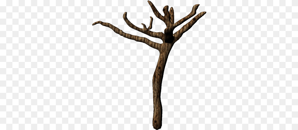 It Produces A Very Dry And Rough Effect Although It Art, Plant, Tree, Tree Trunk, Wood Png