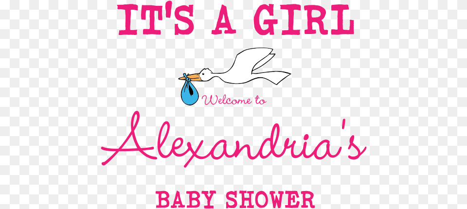 It S A Girl Banner, Text, Animal, Bird, Waterfowl Free Png