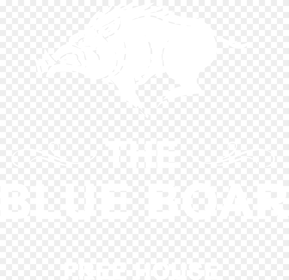 It S Meme Tie, Animal, Pig, Mammal, Hog Free Transparent Png