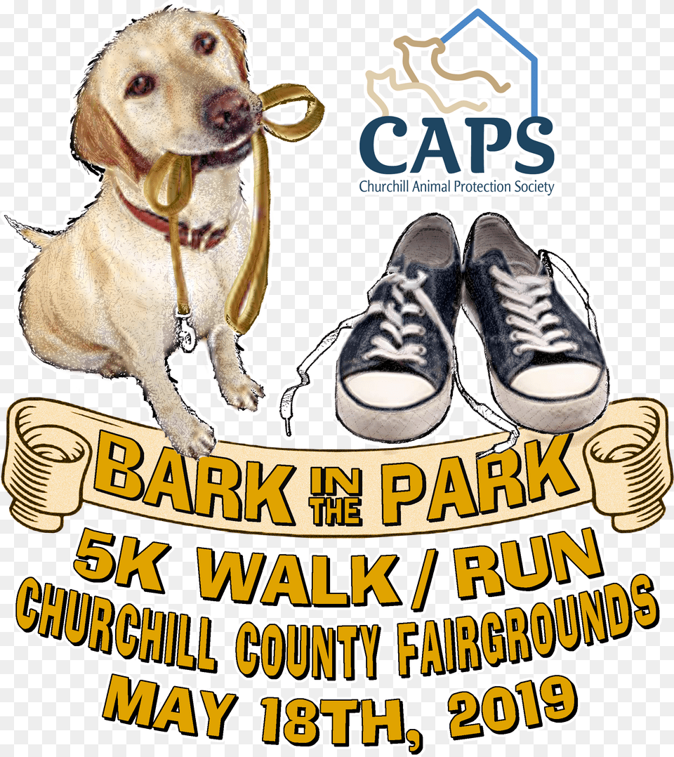 It S Time For Our 5k Strut Your Mutt Walkrun Dog, Footwear, Shoe, Clothing, Sneaker Free Png