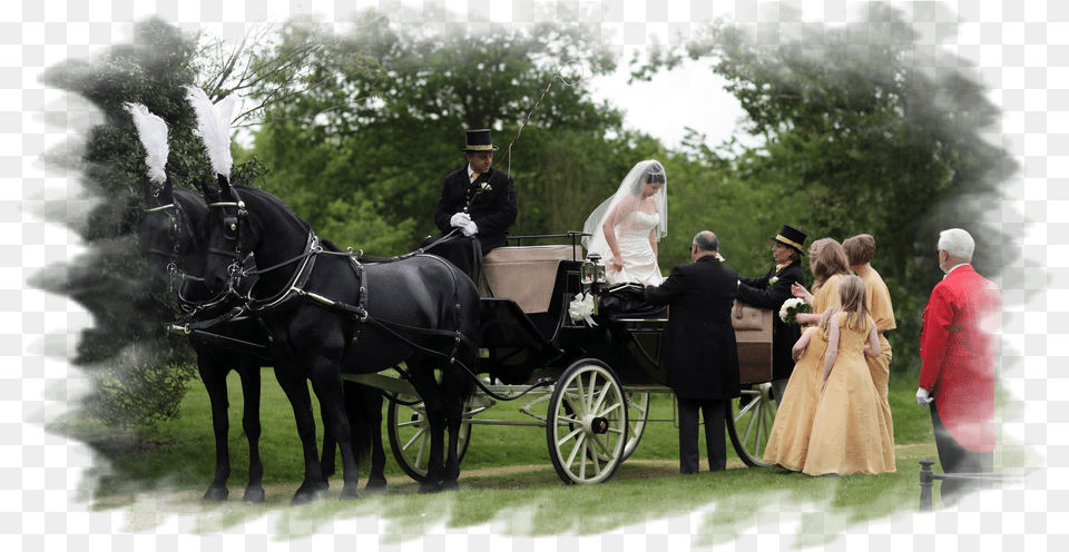 It Was Usually Drawn By One Or Two Horses Horse And Buggy, Formal Wear, Gown, Clothing, Dress Free Transparent Png