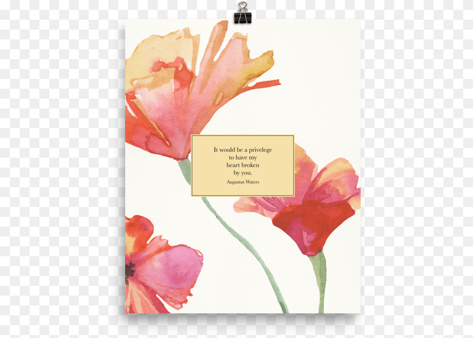 It Would Be A Privilege To Have My Heart Broken By Augustus Waters, Flower, Petal, Plant, Business Card Png