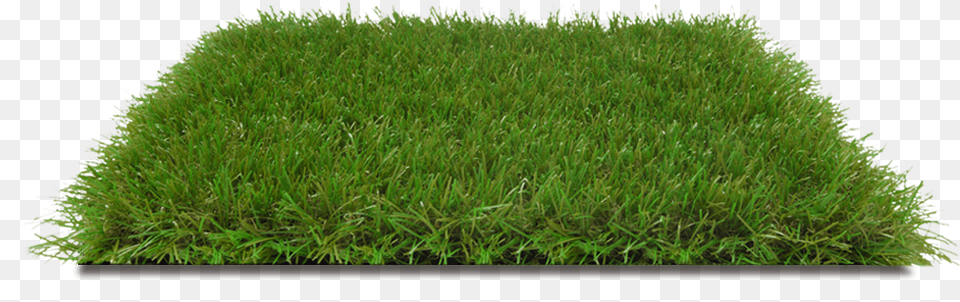 Italgreen Landscape Erba Sintetica Giardino Wild Pelouse, Grass, Moss, Plant, Vegetation Png