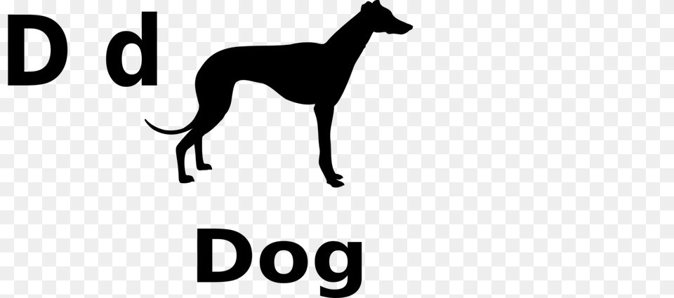 Italian Greyhound Greyhound Lines Silhouette Greyhound Canada Gray Free Png Download