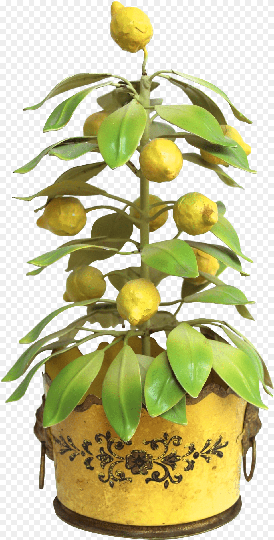 Italian Tole Lemon Tree Topiary On Chairish Download Lemon Tree Citrus Fruit, Food, Fruit, Plant Free Transparent Png