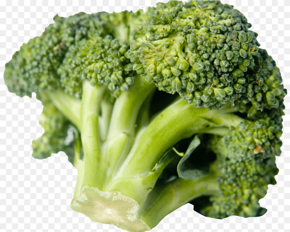 Italica Group, Broccoli, Food, Plant, Produce Png