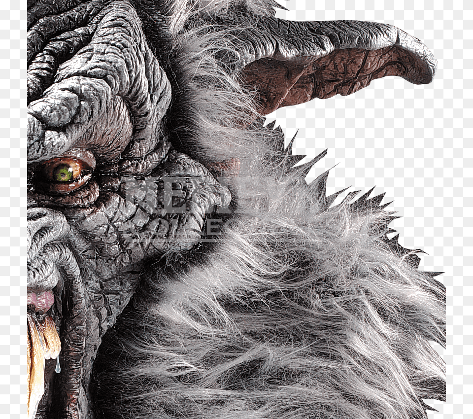 Item Hell Hound Werewolf Adult Mask, Animal, Bird, Vulture, Female Png Image