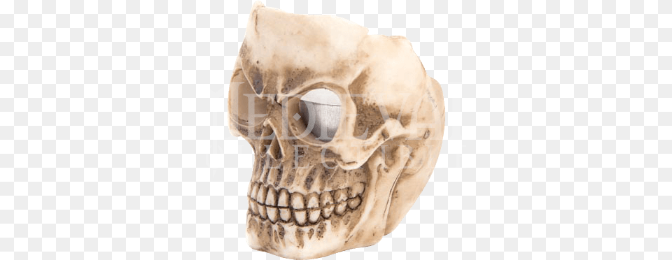 Item Skull, Head, Person, Face Free Transparent Png
