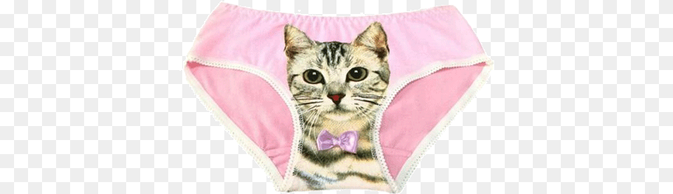 Itgirl Shop Pussy Cat Print Panties Aesthetic Apparel Pussy Cat, Clothing, Lingerie, Underwear, Animal Png