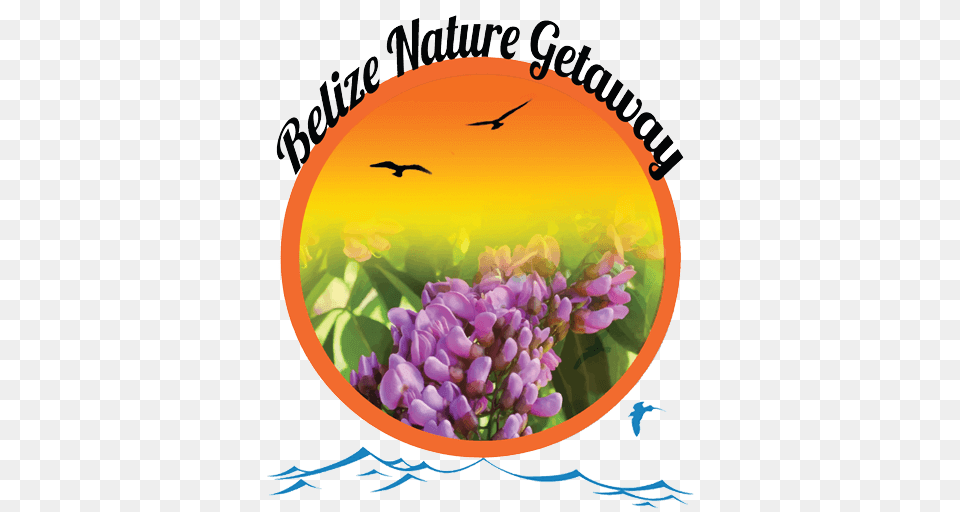 Itineraries Belize Nature Getaway, Purple, Plant, Flower, Animal Png Image