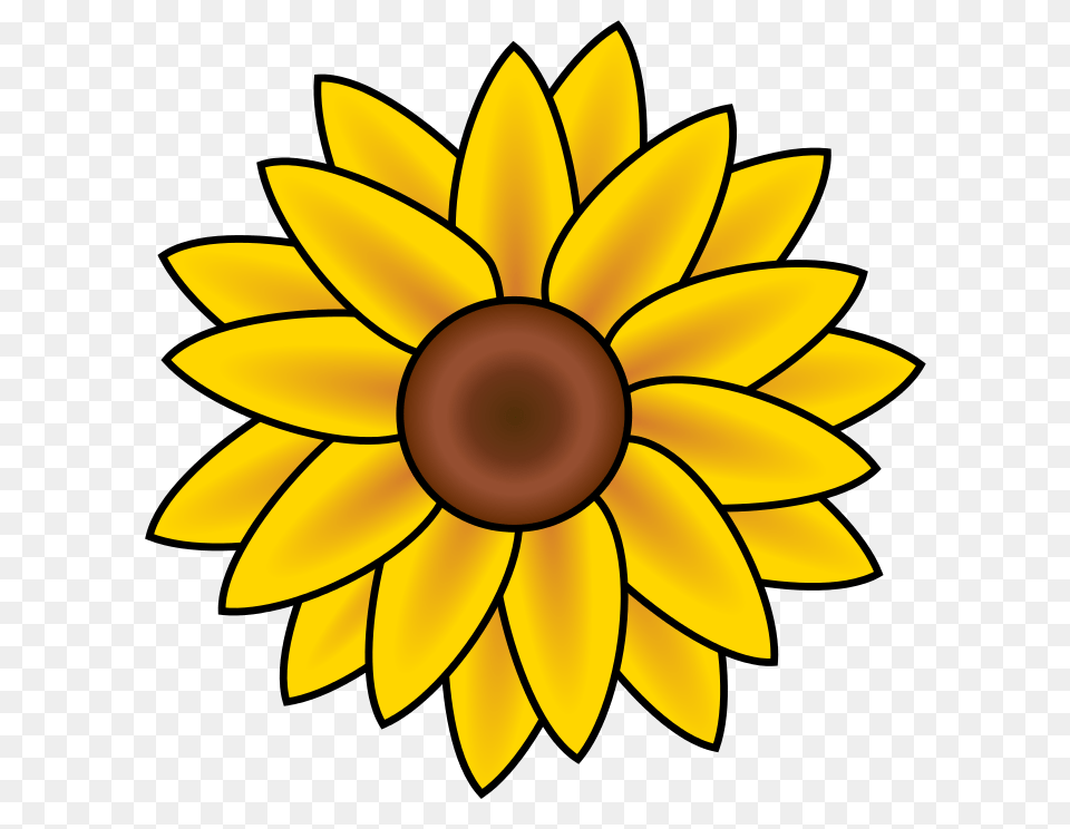 Itinerary, Daisy, Flower, Plant, Sunflower Free Transparent Png