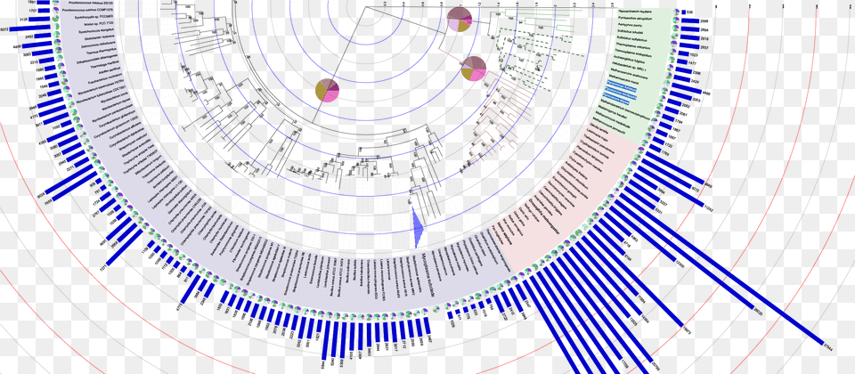 Itol Interactive Tree Of Life Phylogenetic Tree Circular Annotation, Sphere, Spiral Png Image