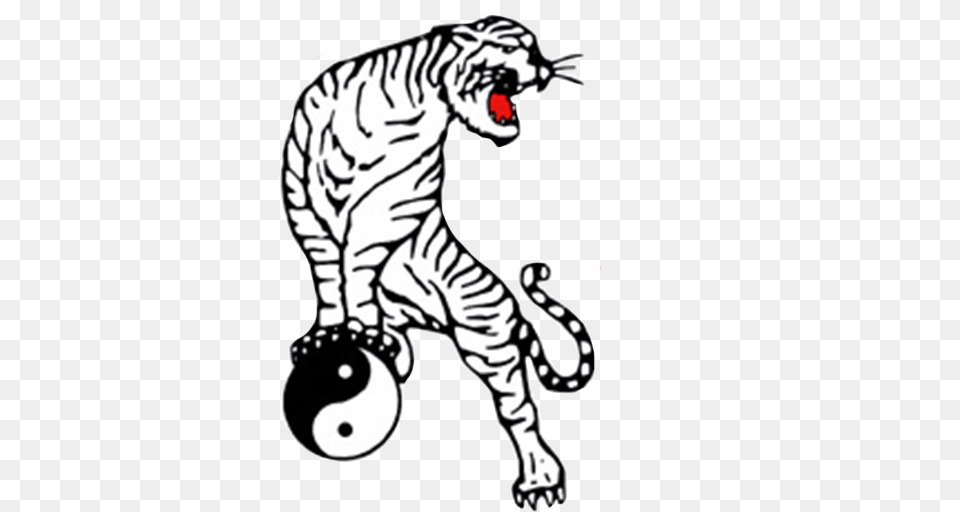 Itos White Tiger Kempo Karate Tai Chi Chuan, Animal, Mammal, Wildlife, Zebra Free Transparent Png