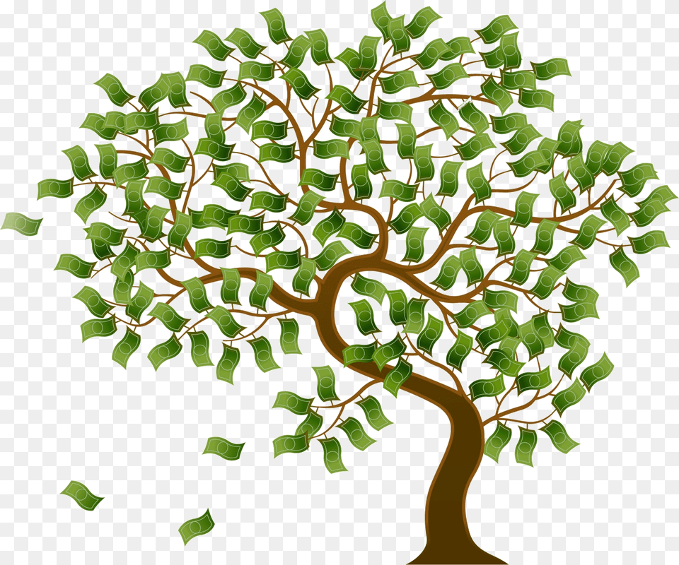 Itquots Not Just About The Money But About Using My Skill Money Tree, Oak, Plant, Sycamore, Potted Plant Free Transparent Png