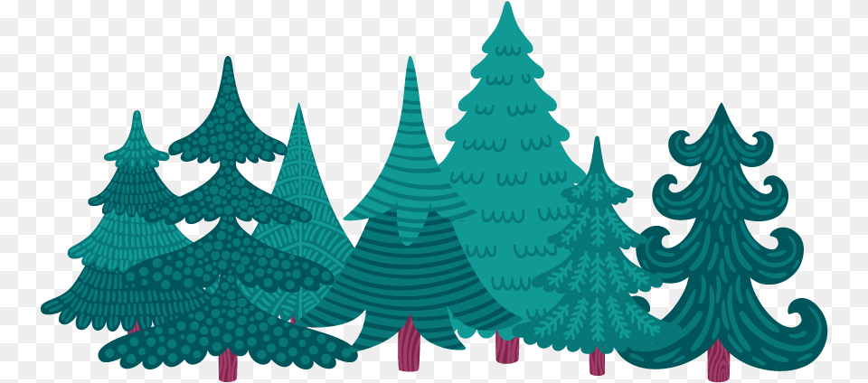 Itquots That Time Of Year Again Christmas Trees, Tree, Plant, Turquoise, Festival Free Transparent Png