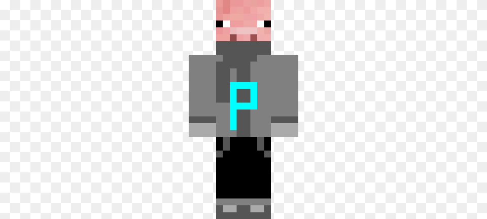 Its A Santa Pig Ghost Photo In Minecraft Profile Png