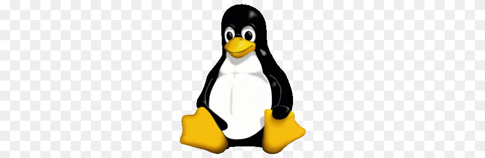 Its A Small World Tiny Linux Operating System Options, Animal, Bird, Penguin Free Png