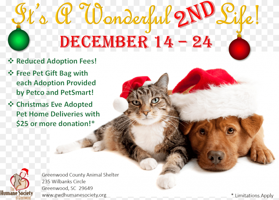 Its A Wonderful Second Life Santa Dog And Cat, Advertisement, Poster, Canine, Animal Free Png