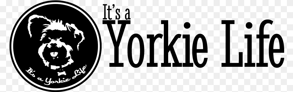 Its A Yorkie Life Horizontal Graphic Design, Logo, Animal, Canine, Dog Png