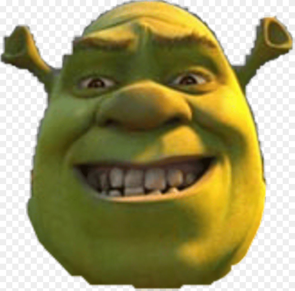 Its Our Lord Shrek Shrek Face Head, Person, Animal, Reptile Free Transparent Png