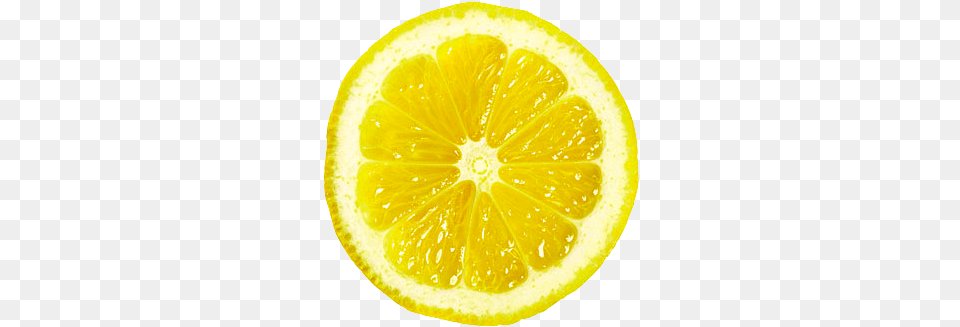 Its Transparent Lemon Slice, Citrus Fruit, Food, Fruit, Plant Free Png