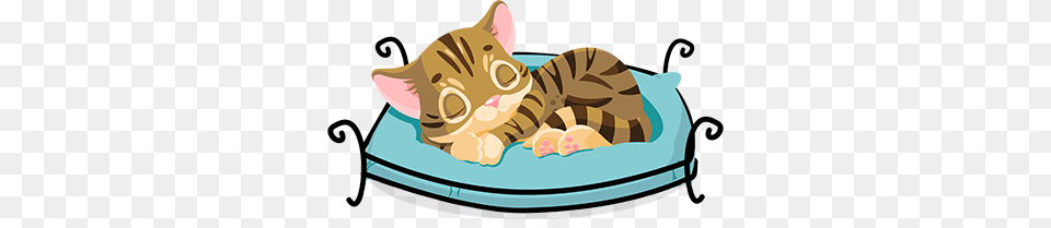 Itsmeowornever Pet Rescue Free Transparent Png