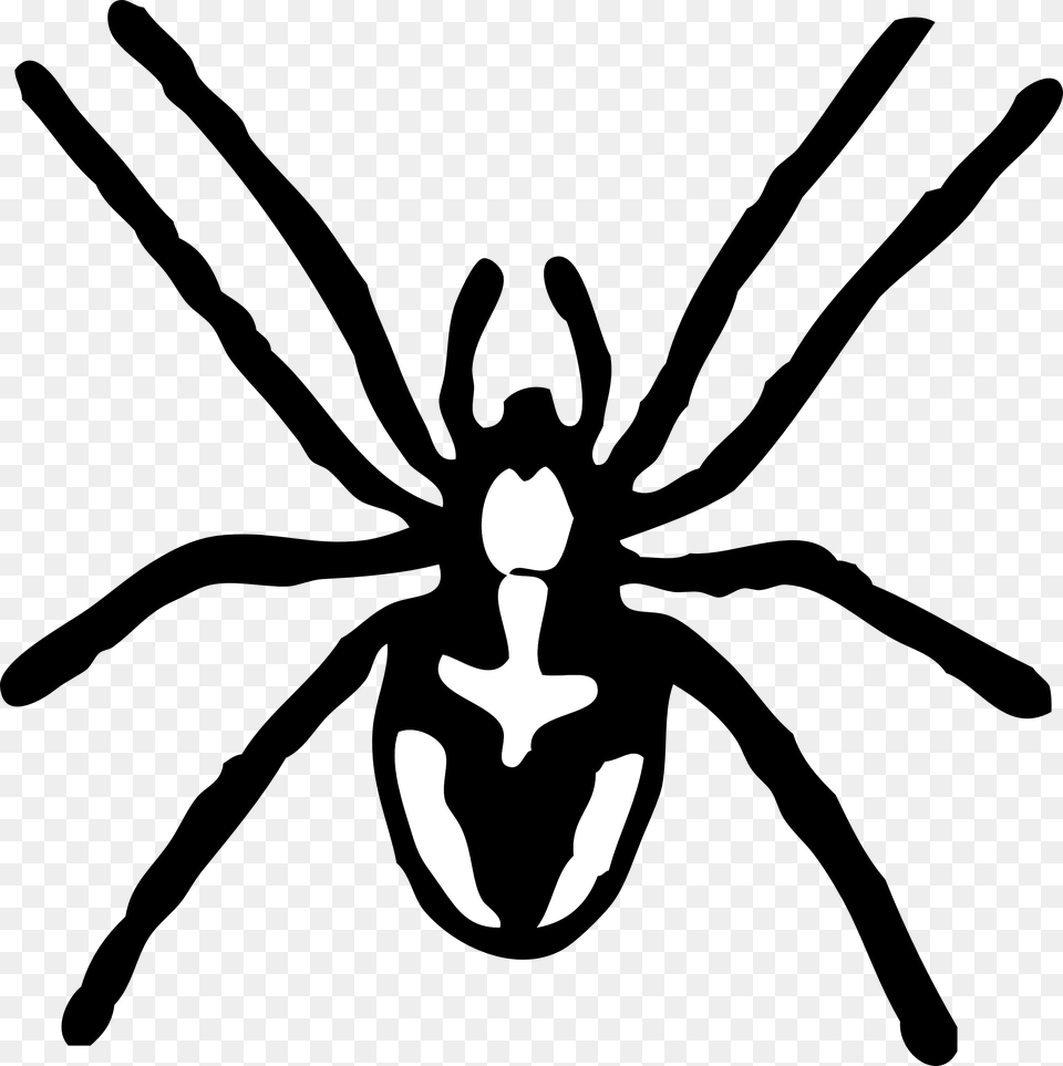 Itsy Bitsy Spider Spider Clipart Black And White, Stencil, Animal, Invertebrate, Kangaroo Free Png Download