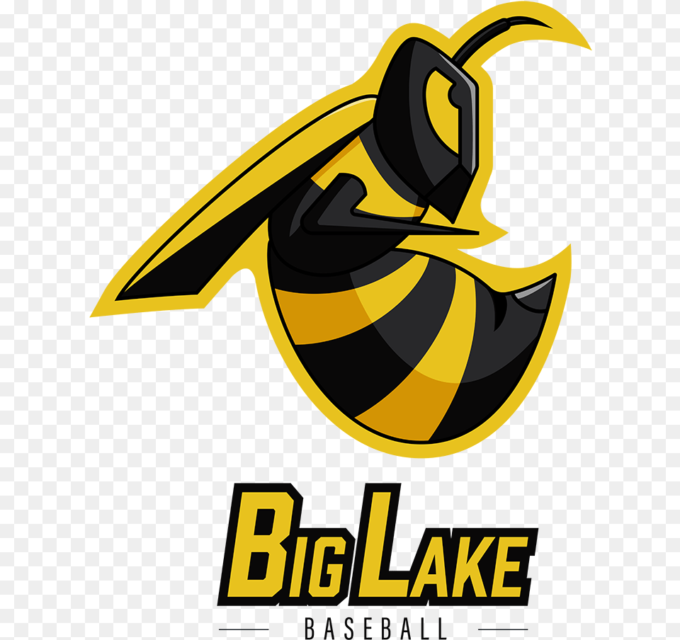 Ivan Witteborg Graphic Designer Big Lake Baseball Hornet Logo Bumblebee, Animal, Bee, Insect, Invertebrate Png