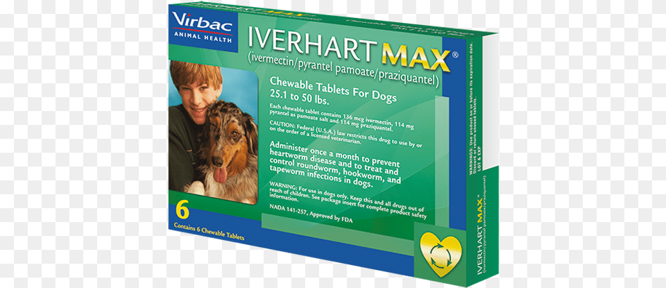 Iverhart Max, Person, Boy, Male, Child Free Png Download