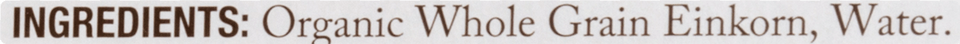 Ivory, Text, Handwriting Free Png