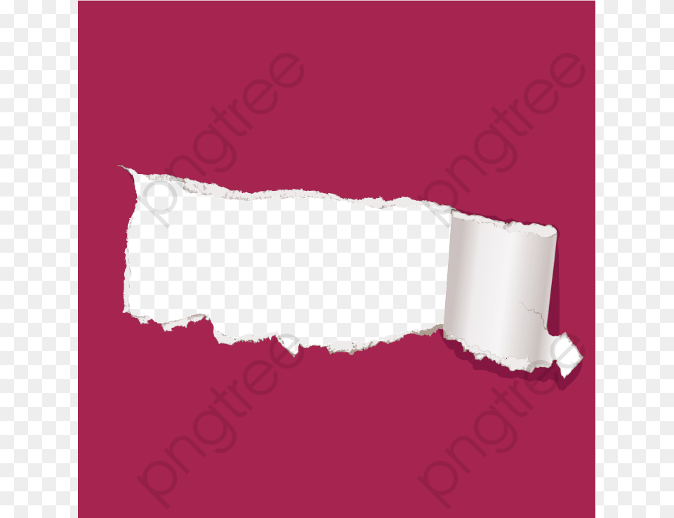 Ivory, Paper, Towel, Animal, Cat Free Png Download
