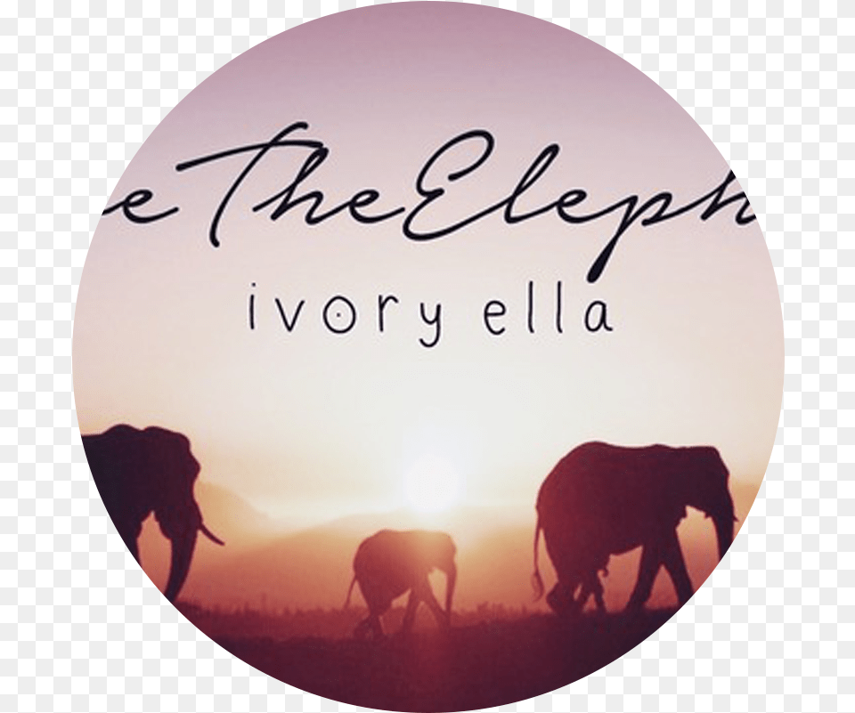 Ivory Ella Logo Mypeeptoes, Photography, Animal, Elephant, Mammal Png