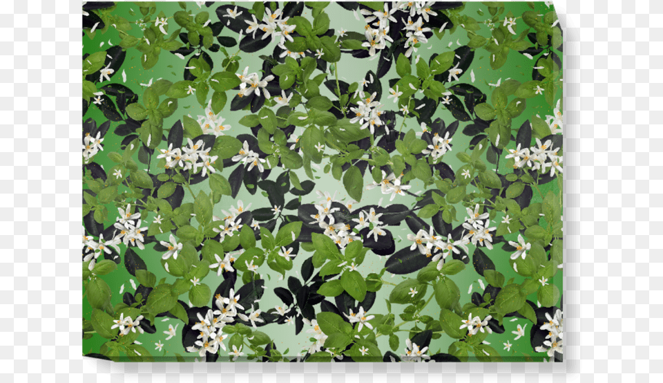 Ivy, Art, Plant, Pattern, Vegetation Png Image