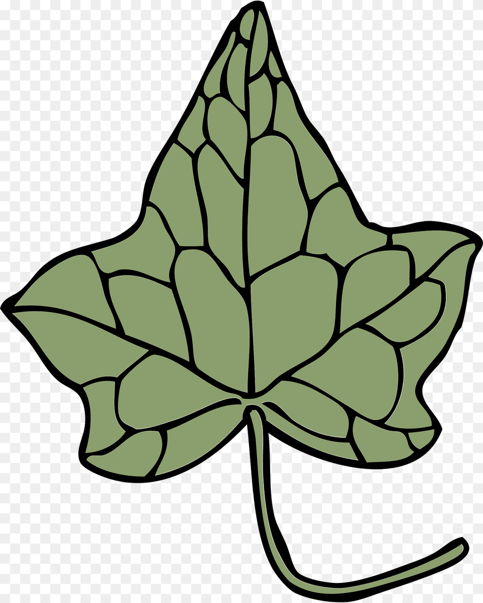 Ivy Clipart, Leaf, Plant, Maple Leaf, Animal Png