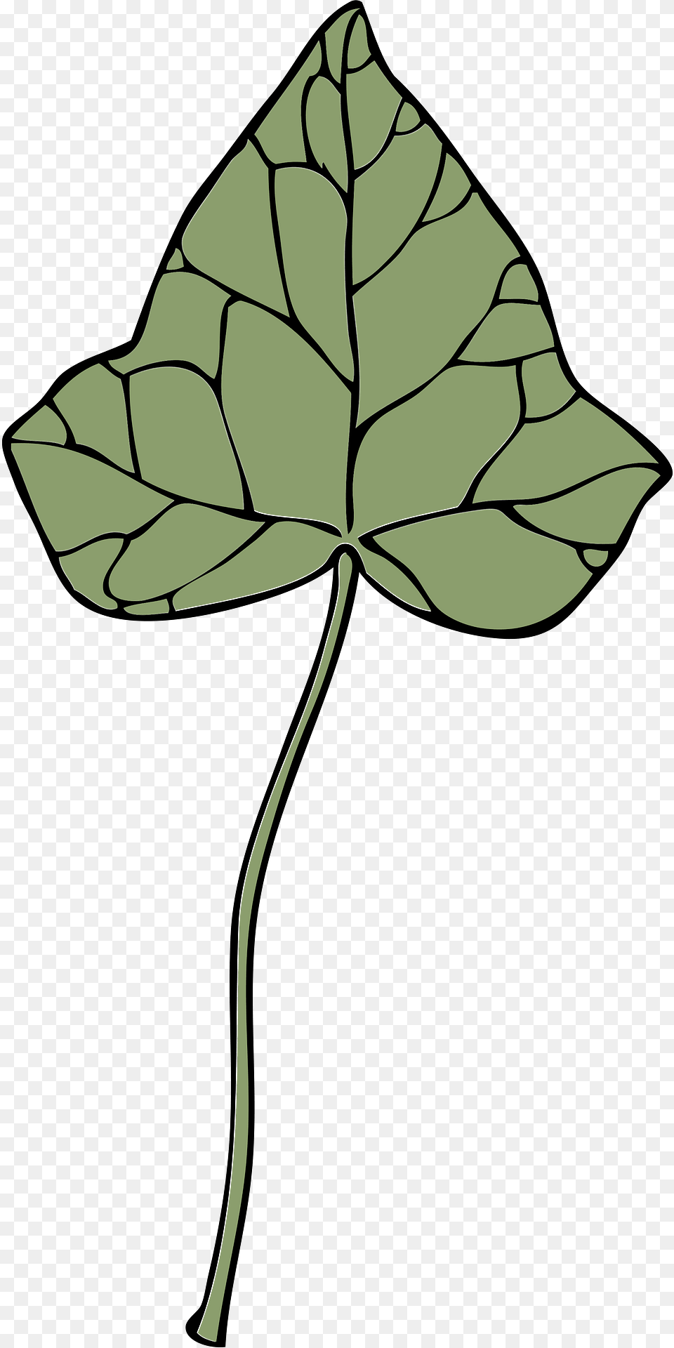 Ivy Clipart, Leaf, Plant, Bow, Weapon Free Transparent Png