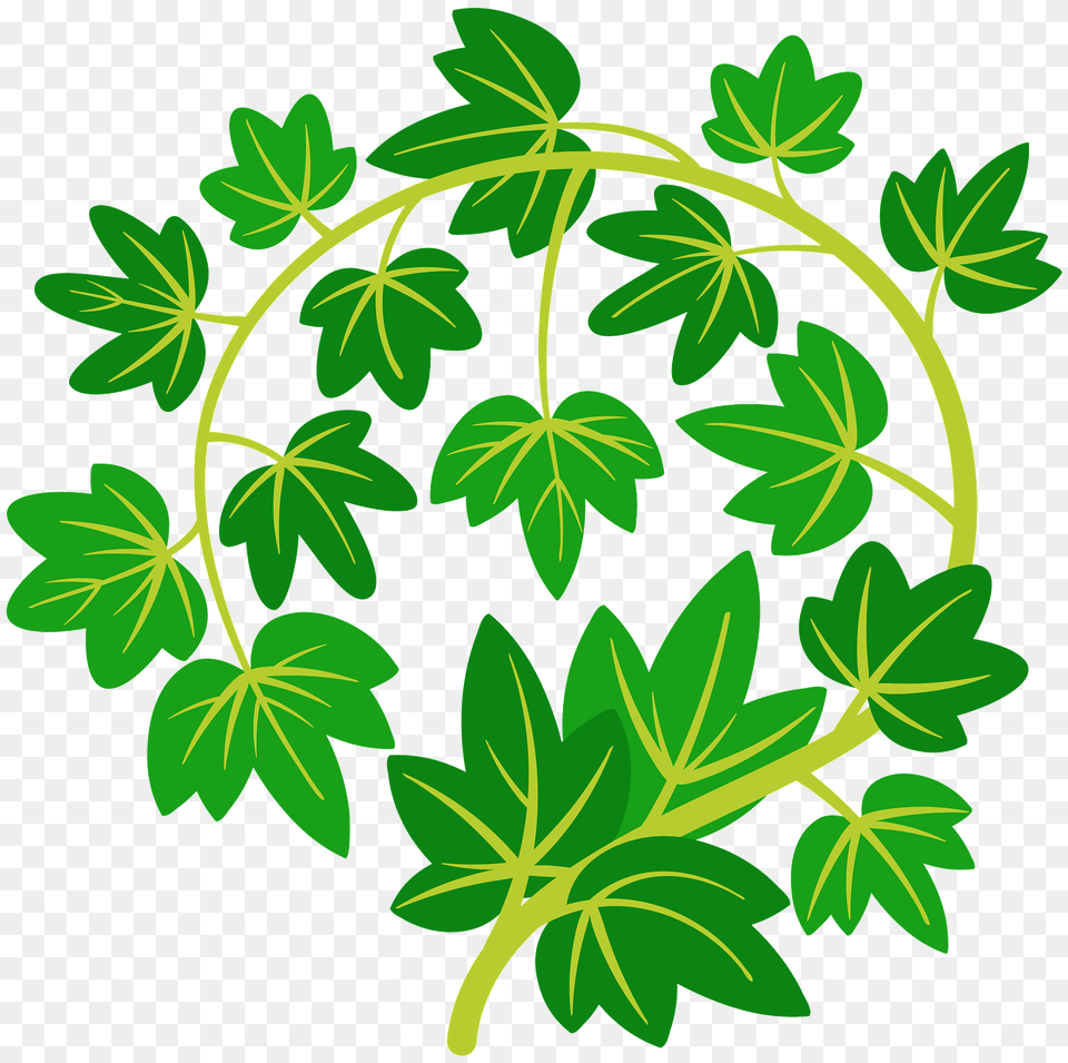 Ivy Clipart, Art, Plant, Pattern, Leaf Png