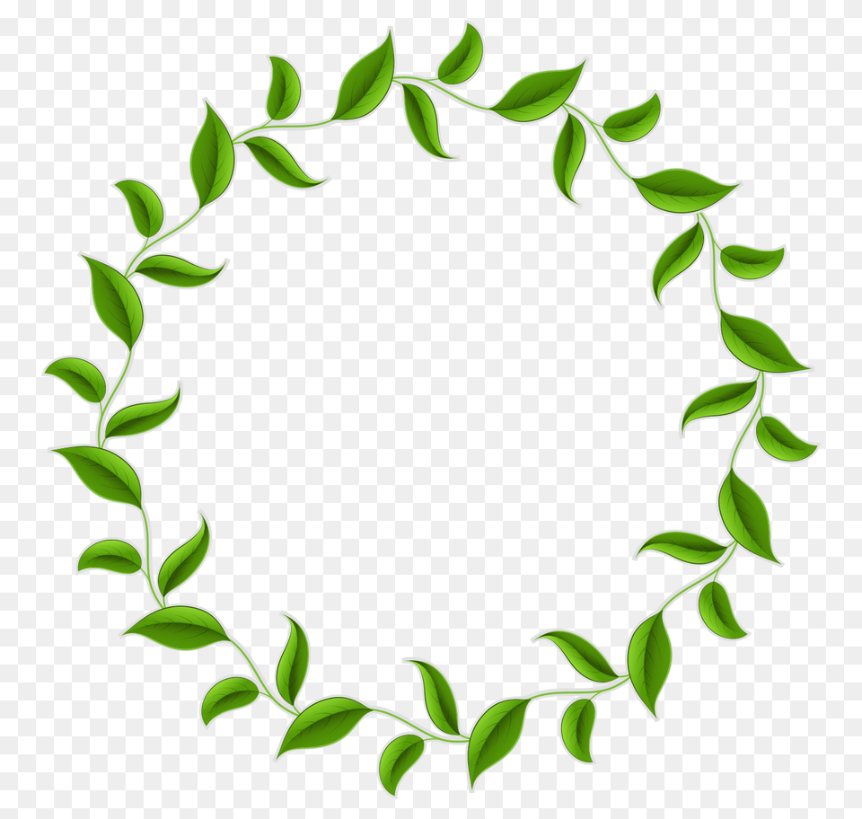 Ivy Clipart Green Stem Ivy Green Stem Transparent Free, Leaf, Plant, Wreath Png