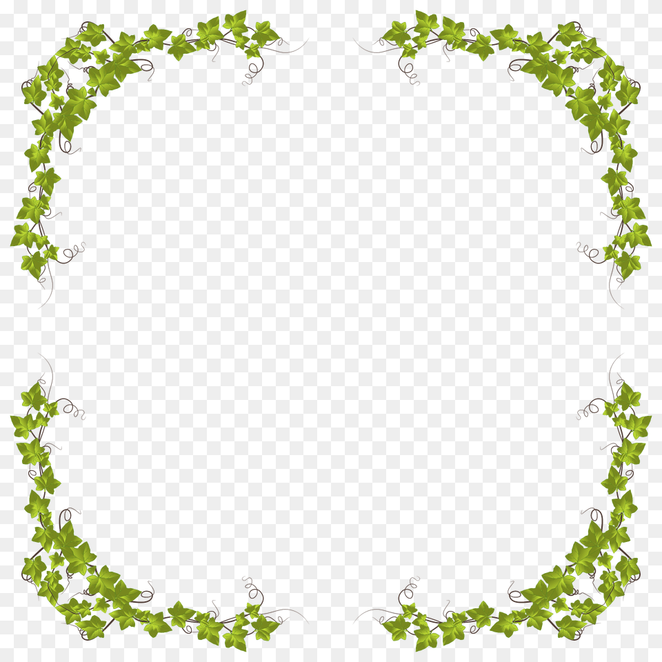 Ivy Frame Clipart, Green, Pattern, Accessories, Art Png