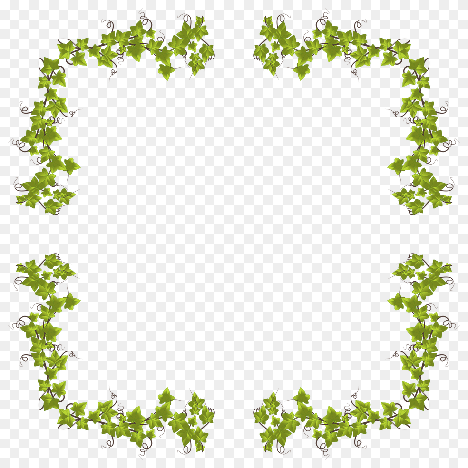 Ivy Frame Clipart, Leaf, Plant, Moss, Pattern Png Image